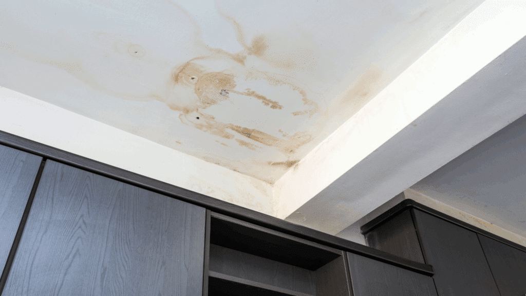 Ceiling Roofing and Consequential Damages Schoenherr Roofing