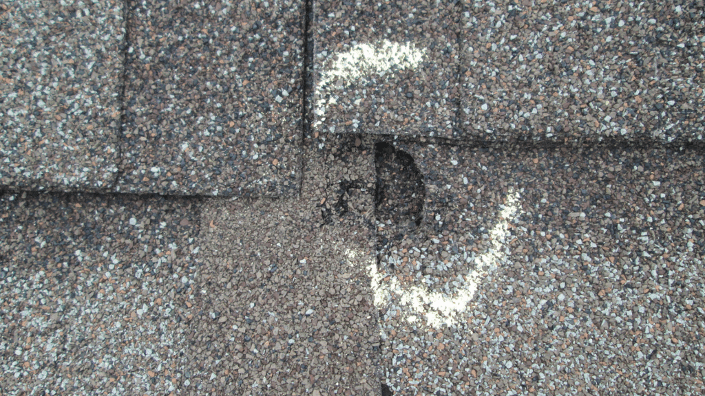 Shingle Roofing and Consequential Storm Damages Schoenherr Roofing