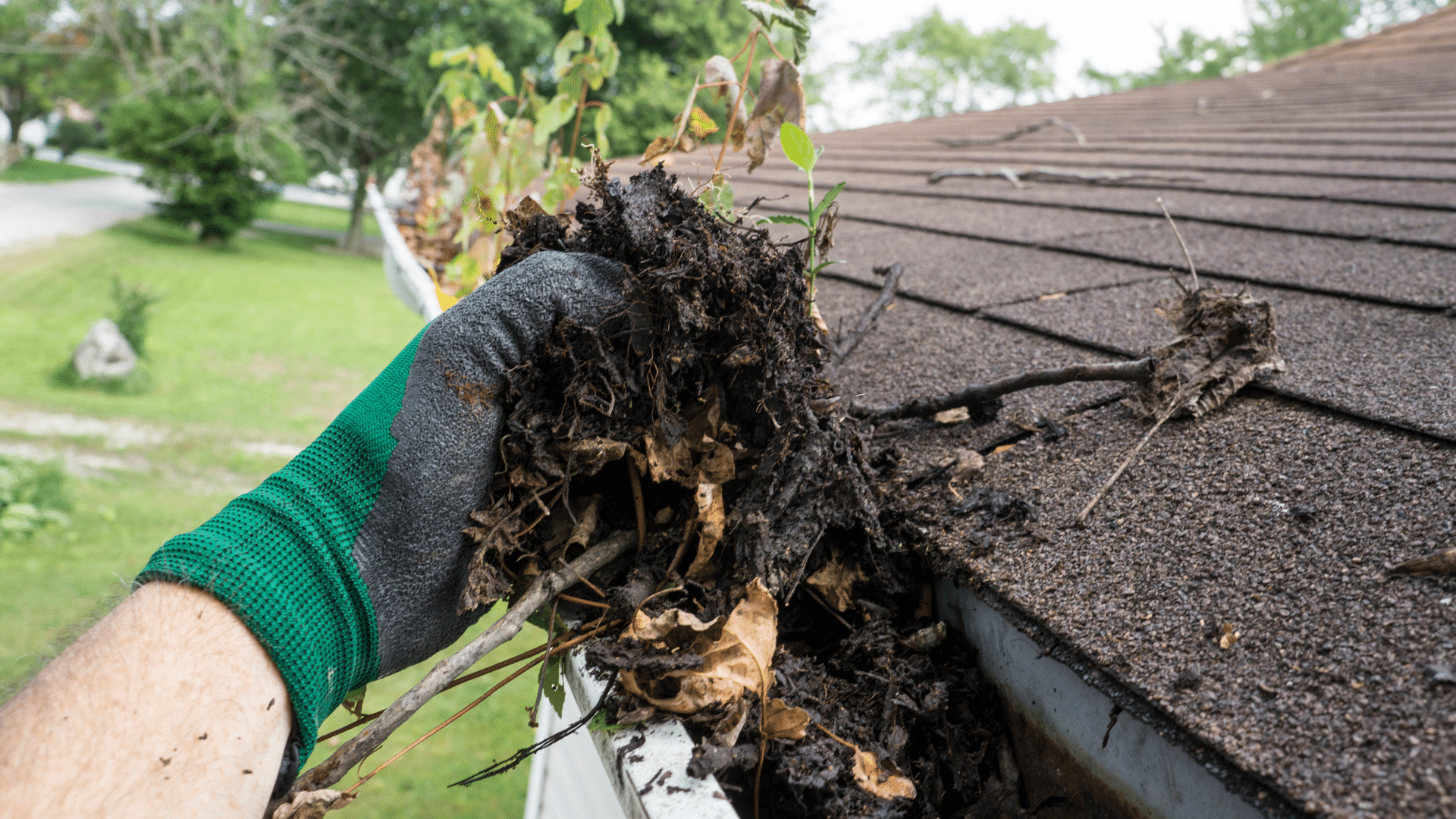 Gutters Repair and Replacement Schoenherr Roofing Michigan Cleaning