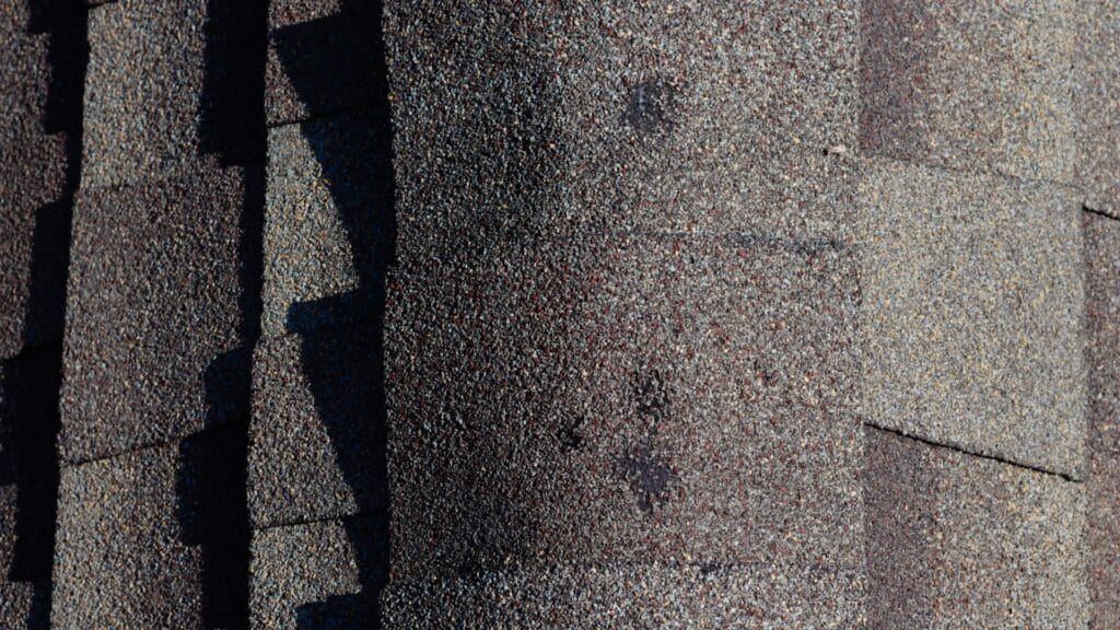 Hail Damage Roof Inspection Guide for Michigan Homeowners What does hail damage look like Schoenherr Roofing Michigan