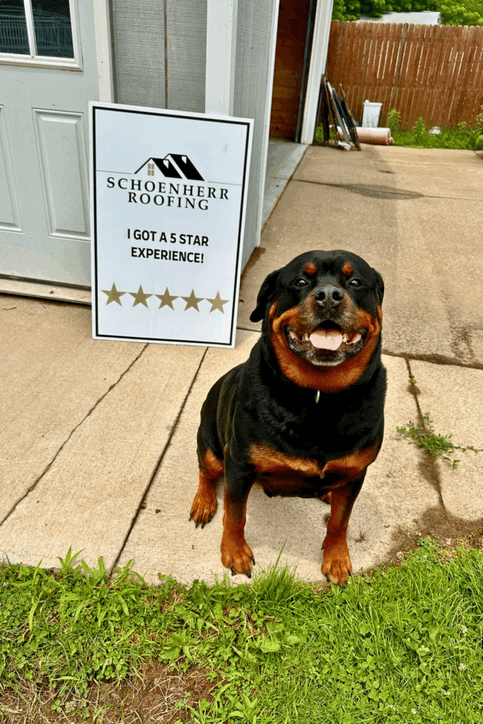 Best Roofing Contractor​ Schoenherr Roofing Michigan Local Trusted Professionals