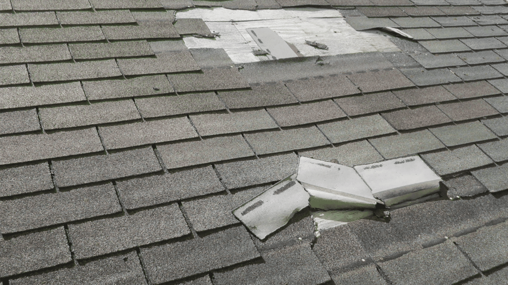 Common Shingle Roof Problems Repair or Replace Schoenherr Roofing MI Wind Damage