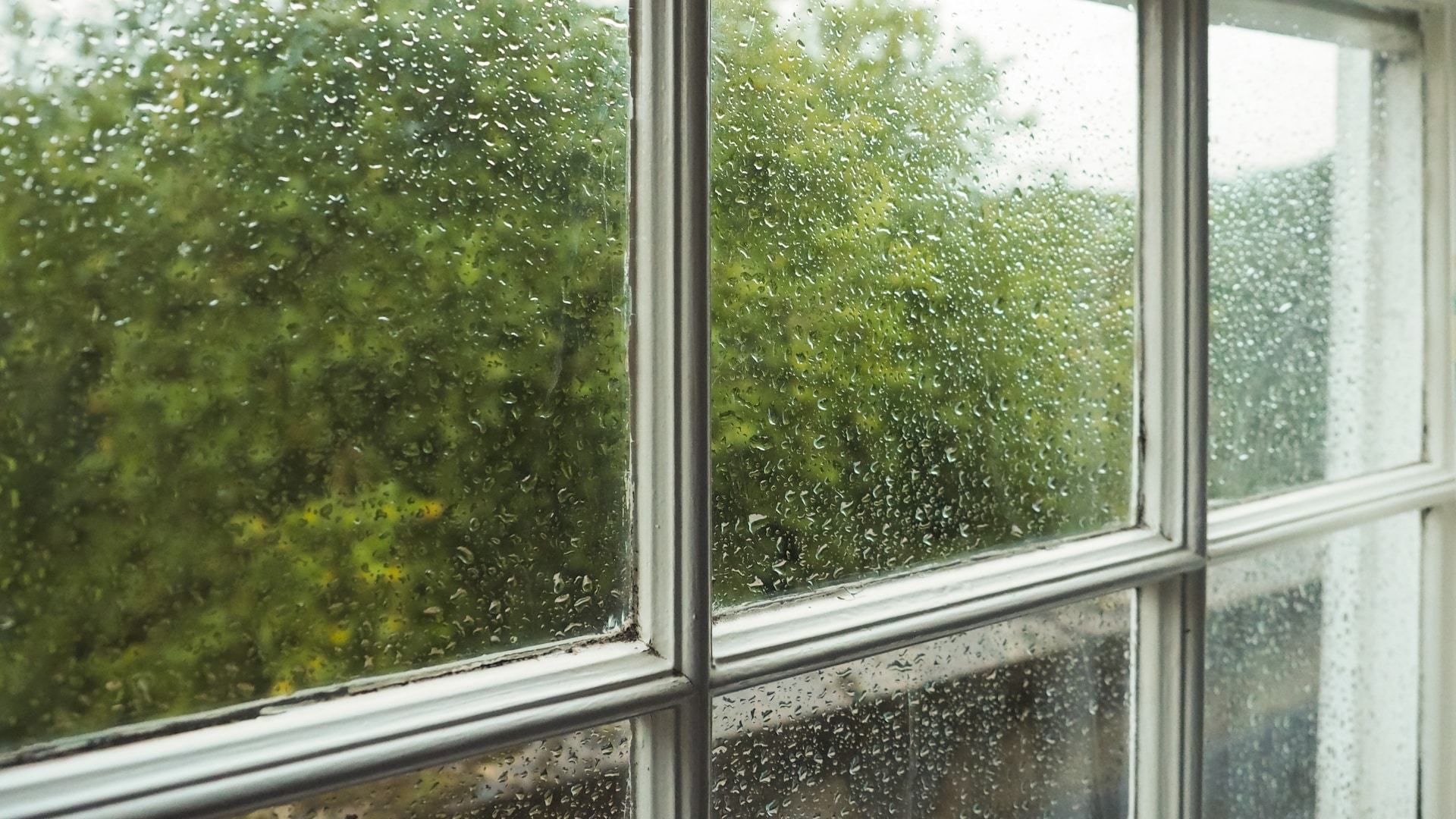 Condensation Between the Glass Panes Window Installation & Replacement Services Schoenherr Roofing Michigan