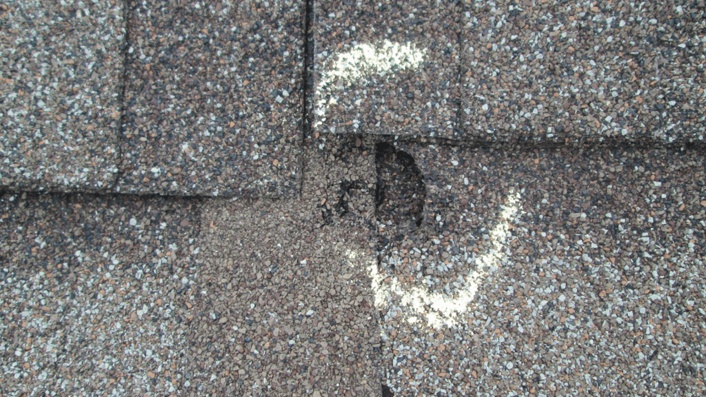 Hail Storm Damage Insurance Inspection Schoenherr Roofing Michigan Make a Claim