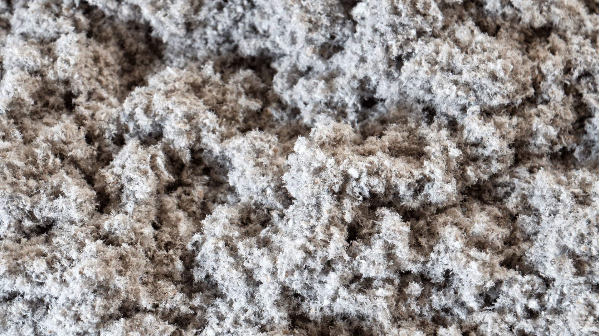 Insulation Environmental Friendly Benefits Schoenherr Roofing Michigan
