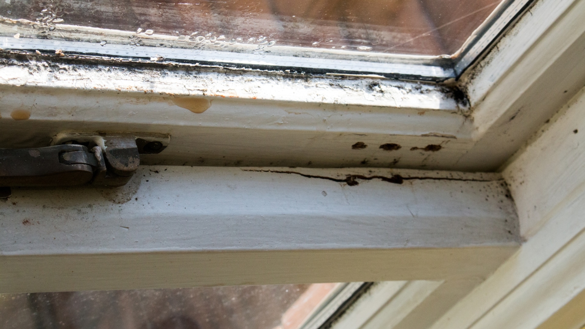 Leaks or Moisture Around the Window Window Installation & Replacement Services Schoenherr Roofing Michigan