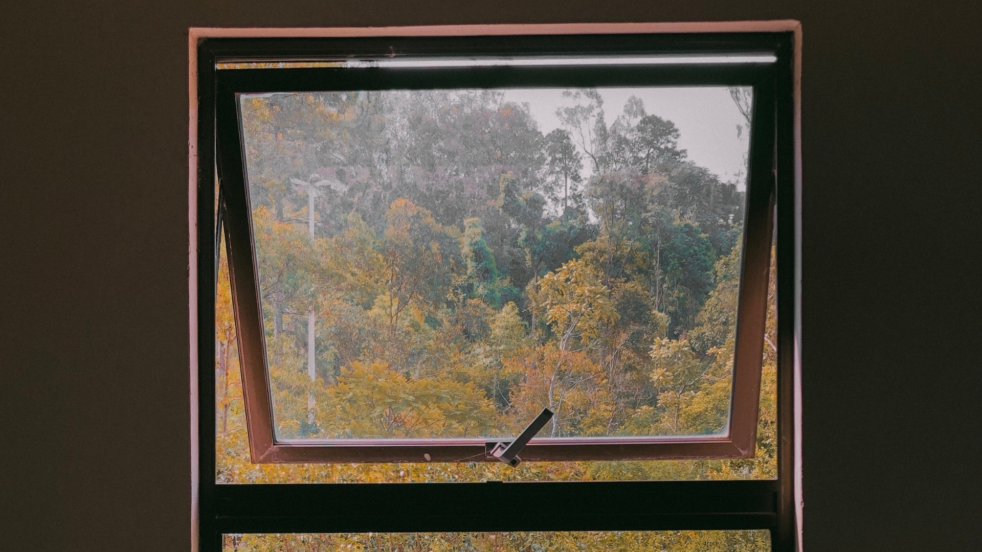 Outdated Appearance Window Installation & Replacement Services Schoenherr Roofing Michigan