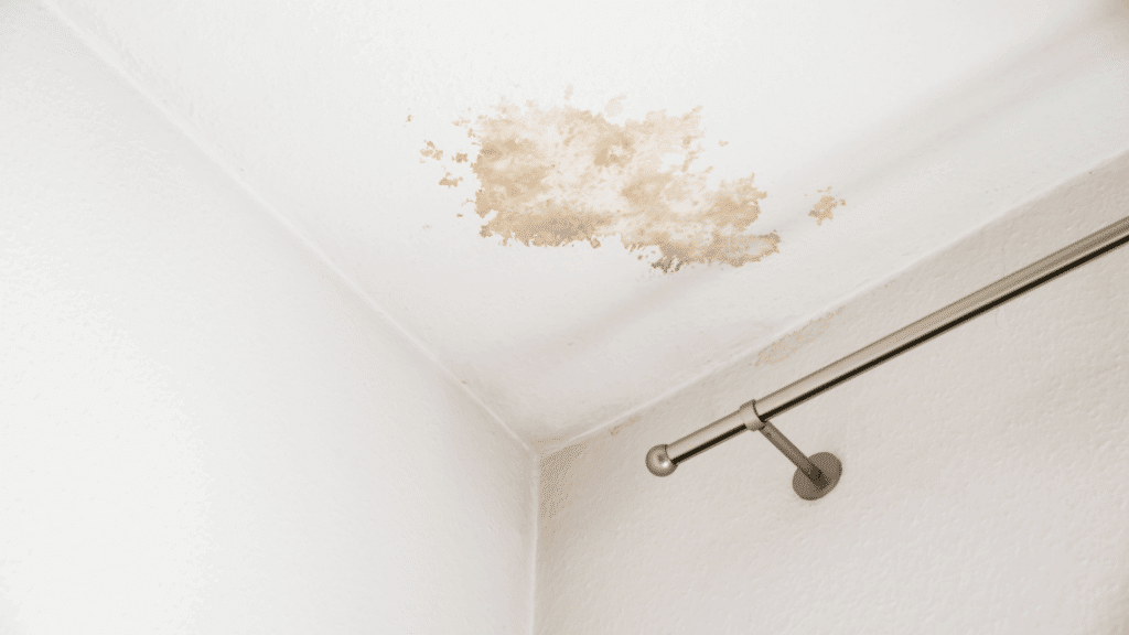 Schoenherr Roofing Signs Of A Roof Leak