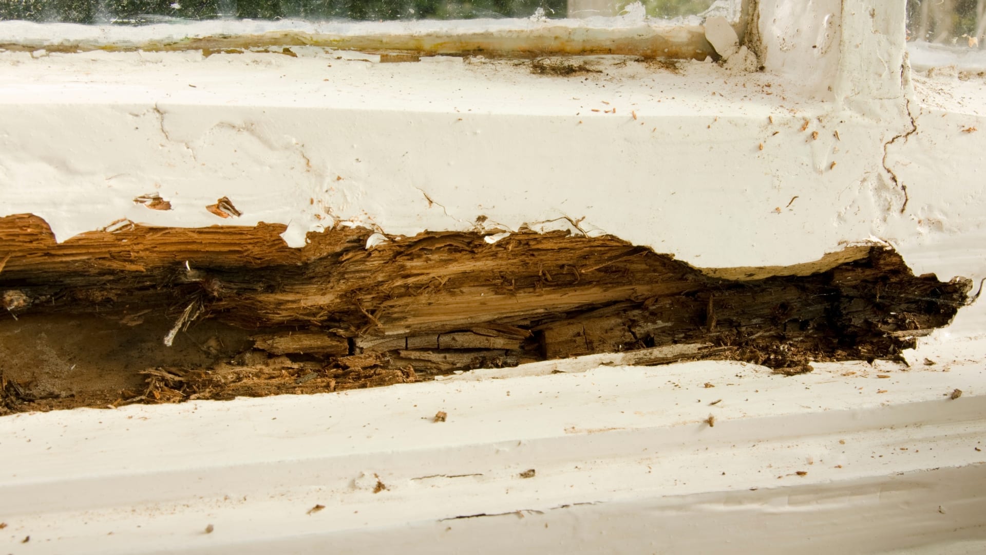 Visible Frame Damage or Rot Window Installation & Replacement Services Schoenherr Roofing Michigan