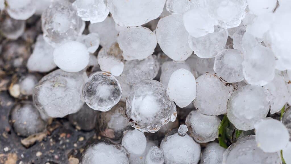 What Does Hail Damage Look Like on a Roof Hail From Storm Schoenherr Roofing Michigan